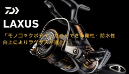 71a_23laxus_lbd